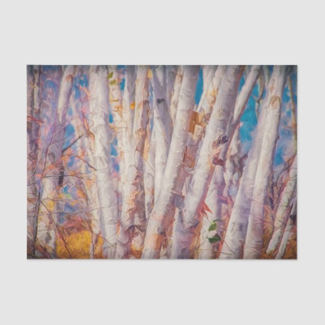 Autumn Forest White Birch Trees Tissue Paper (Front)