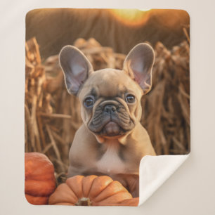 Autumn Frenchie Sherpa Blanket