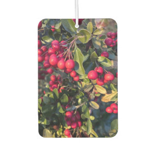 Autumn fruit car air freshener