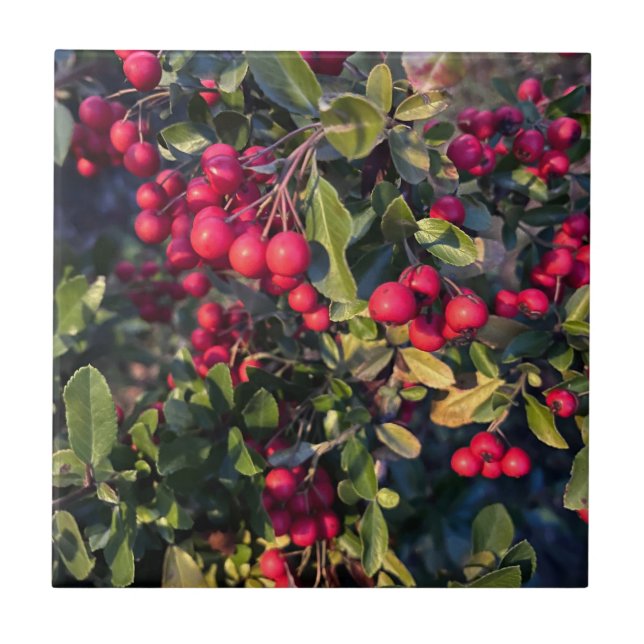 Autumn fruit ceramic tile (Front)