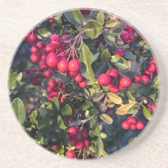 Autumn fruit coaster (Front)