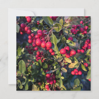 Autumn fruit invitation