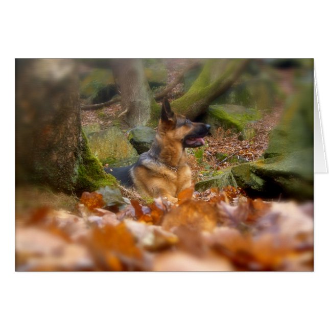 Autumn German Shepherd Card (Front Horizontal)