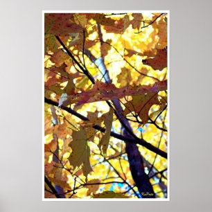 Autumn Gold Poster
