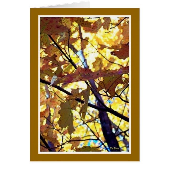 Autumn Golds (Front)