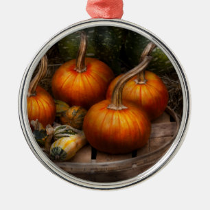 Autumn - Gourd - Pumpkins and some other things Metal Ornament