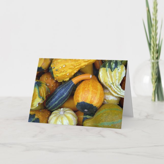 Autumn Gourds Card (Front)
