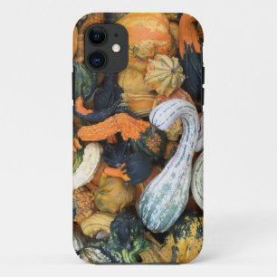 Autumn Gourds iPhone 11 Case