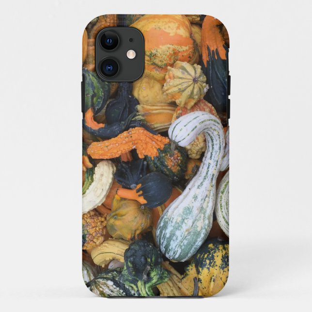 Autumn Gourds Case-Mate iPhone Case (Back)