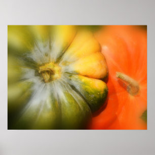 Autumn Gourds Poster