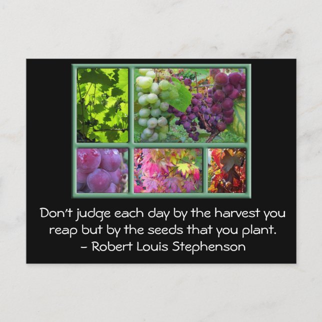Autumn Grape Harvest Collage with Quote. Postcard (Front)