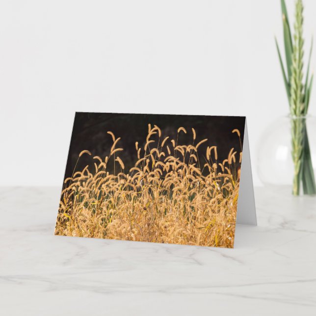 Autumn Grasses Card (Front)