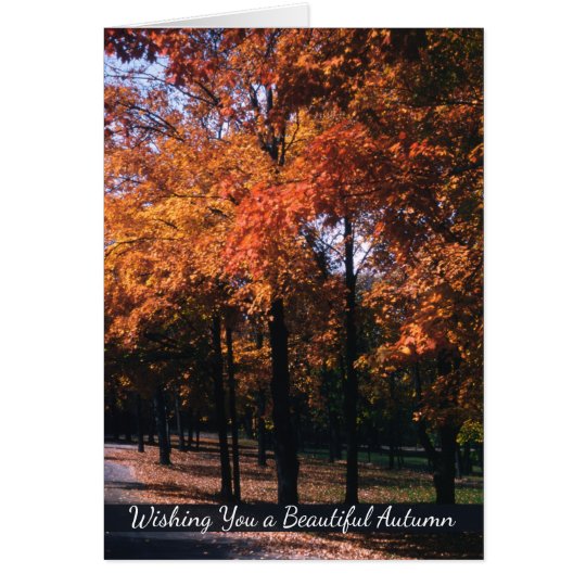 Autumn Greetings, Colourful Fall Tree Landscape Card