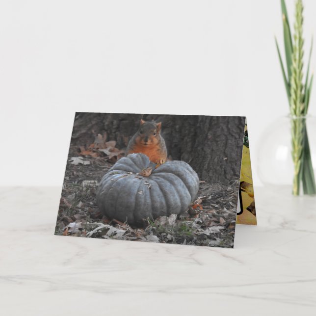 Autumn Greetings | Funny Squirrel Eating Pumpkin Card (Front)