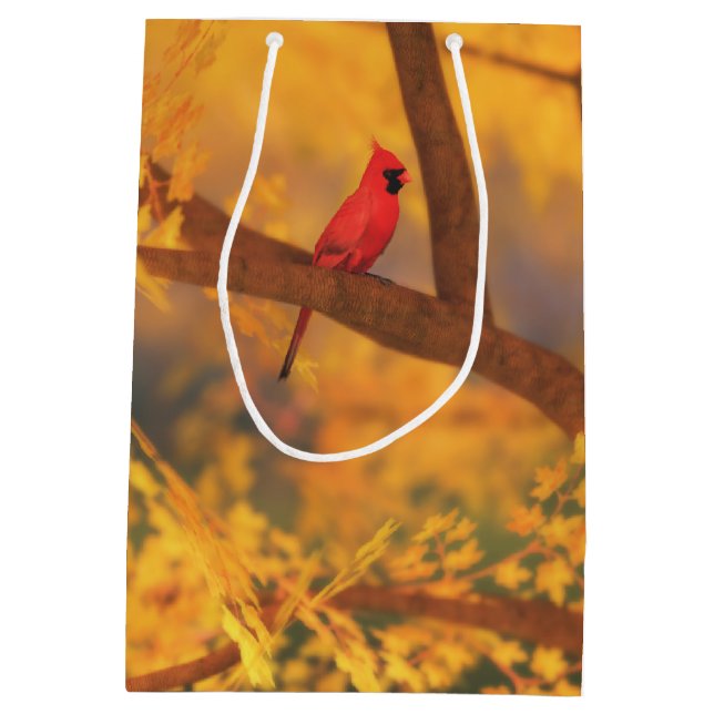 Autumn Guardian Gift Bag (Back)