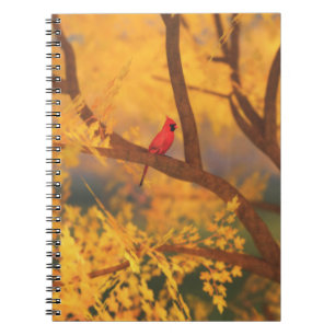 Autumn Guardian Notebook