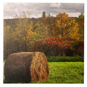 Autumn Harvest Ceramic Tile