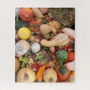 Autumn Harvest of Squash and Pumpkings Jigsaw Puzzle