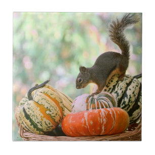 Autumn Harvest Squirrel Ceramic Tile