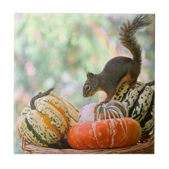 Autumn Harvest Squirrel Ceramic Tile (Front)