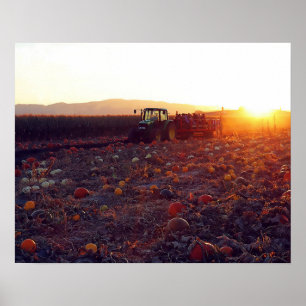 Autumn Hay Ride Poster