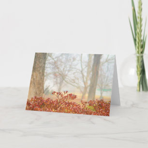 Autumn Haze 3 Greeting Card