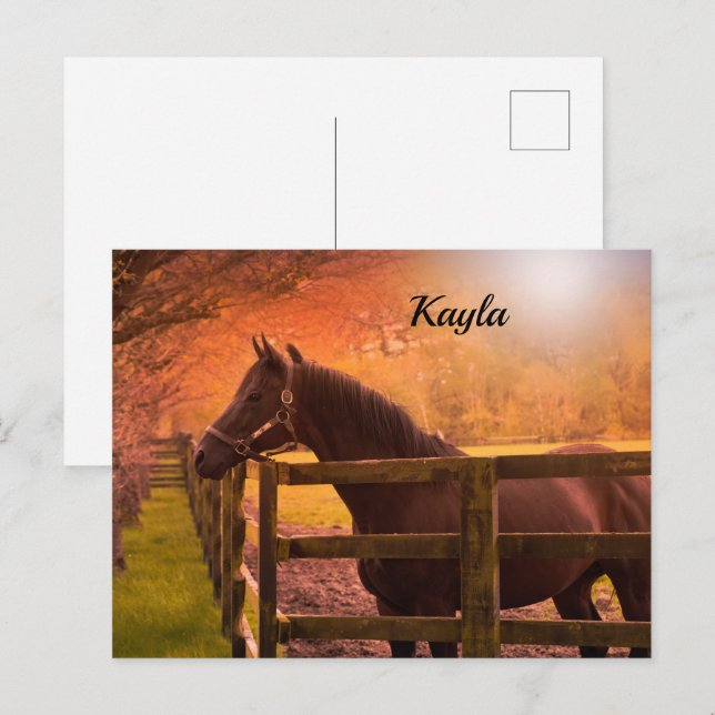 Autumn Horse   Postcard (Front/Back)
