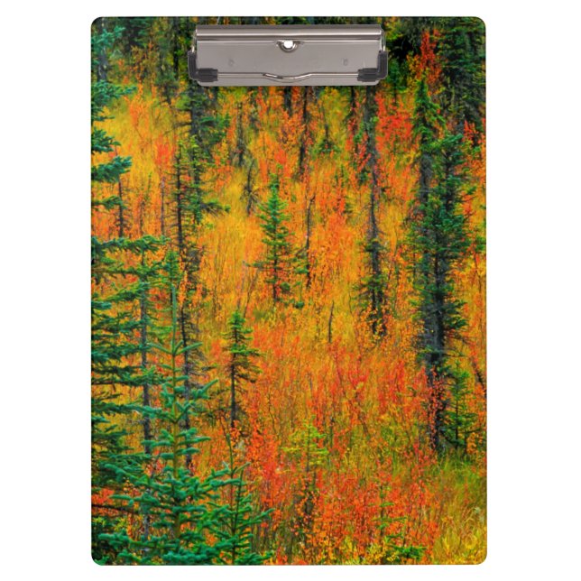 Autumn in a meadow clipboard (Front)