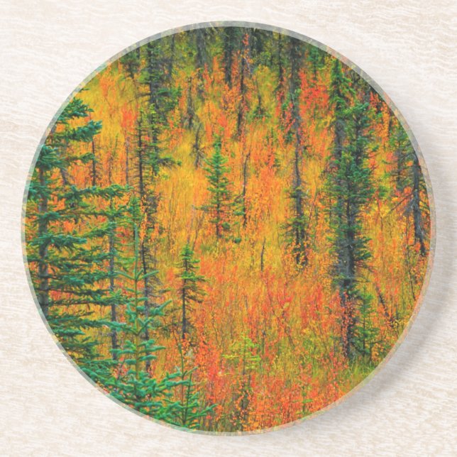 Autumn in a meadow coaster (Front)