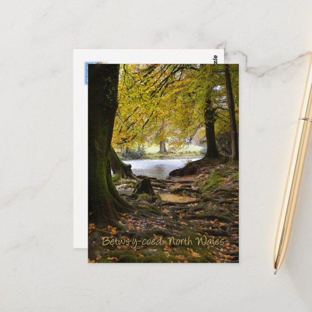 Autumn in Betws-y-coed, North Wales Postcard (Front/Back In Situ)