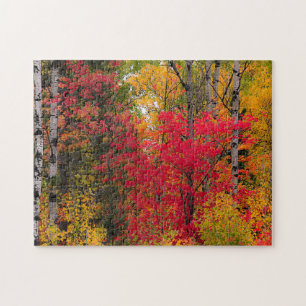 Autumn in Canada. Jigsaw Puzzle