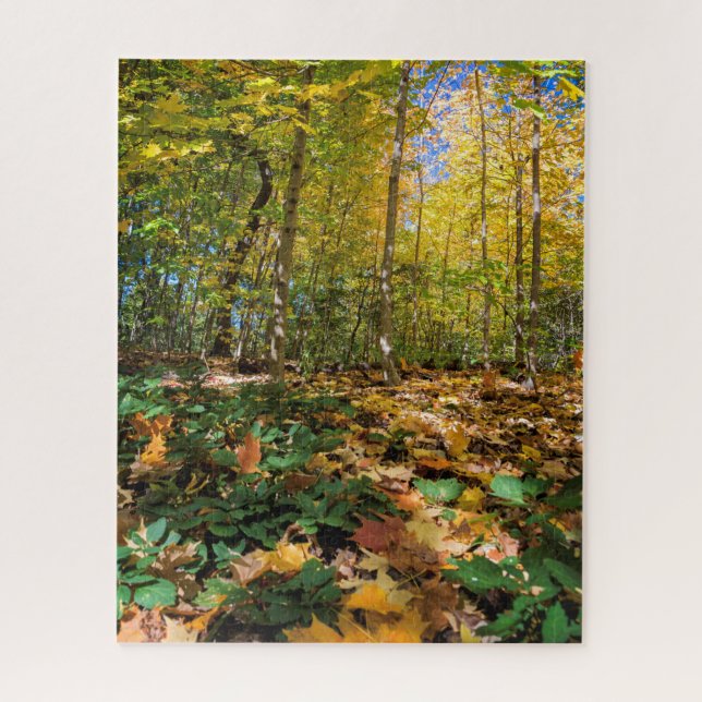 Autumn in Central Park New York Jigsaw Puzzle (Vertical)