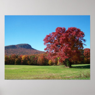 Autumn in Danbury Poster
