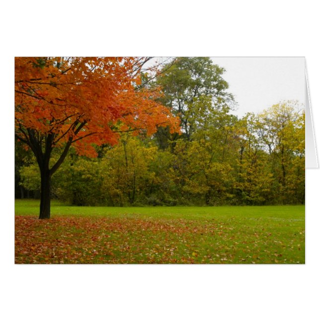 Autumn in Highland Park (Front Horizontal)