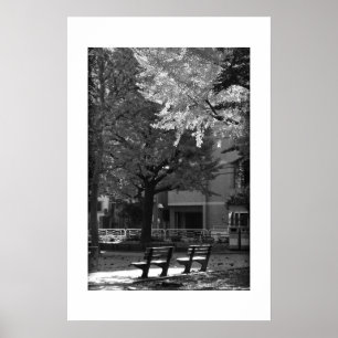 Autumn in Kiyosumi Park: Tokyo Poster
