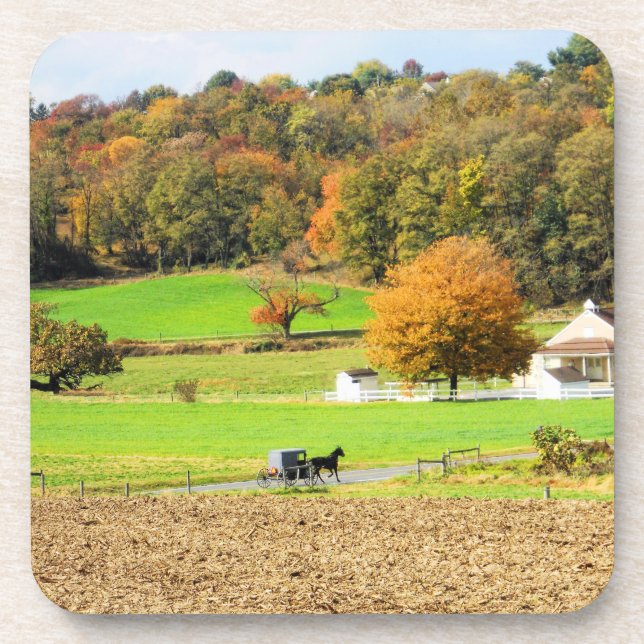 Autumn in Lancaster County, PA Coaster (Front)
