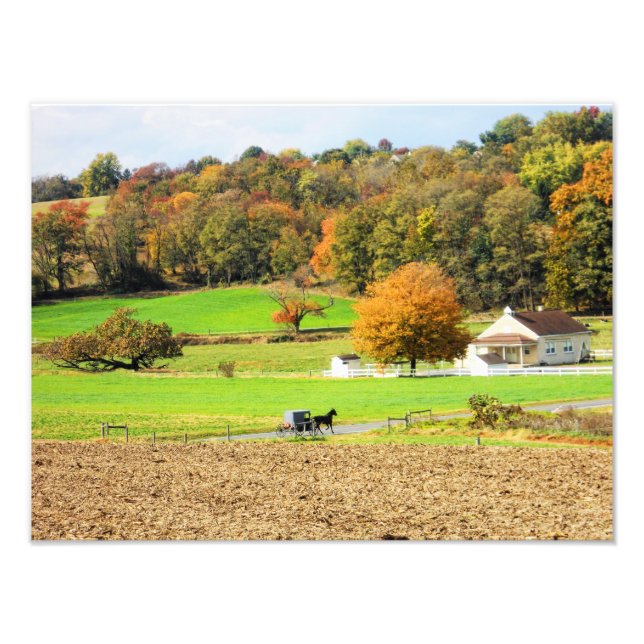 Autumn in Lancaster County, PA Photo Print (Front)