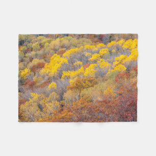 Autumn in Michigan Fleece Blanket