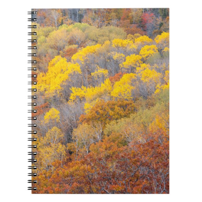 Autumn in Michigan Notebook (Front)