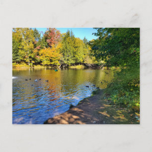 Autumn in Michigan Postcard