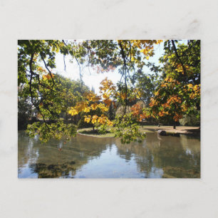 Autumn in Montreal Postcard