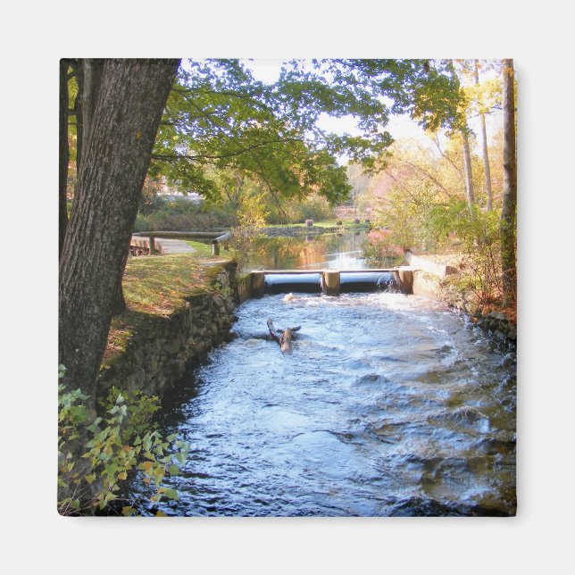 Autumn in New England 47 ~ magnet (Front)