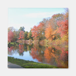 Autumn in New England 54 ~ magnet