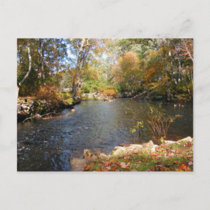 Autumn in New England 5 ~ postcard