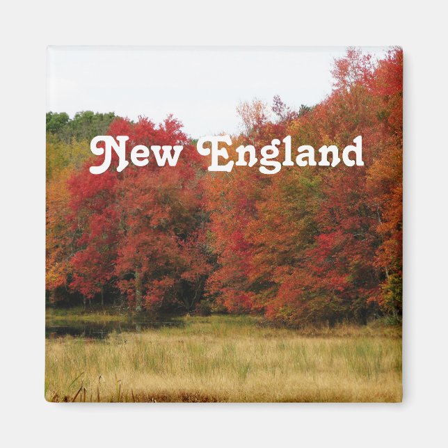 Autumn in New England Magnet (Front)