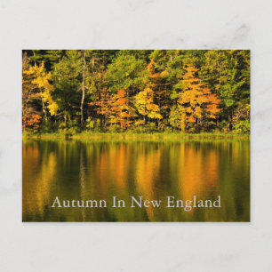 Autumn in New England   Postcard