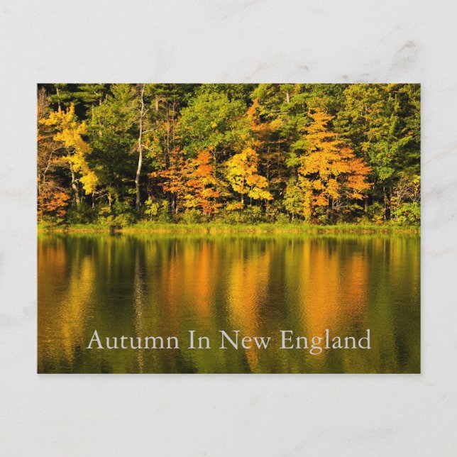 Autumn in New England   Postcard (Front)