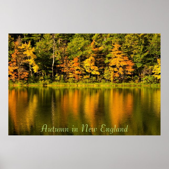 Autumn in New England Print (Front)