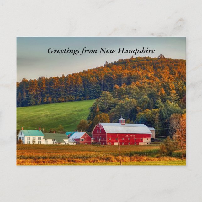 Autumn in New Hampshire Greetings Postcard (Front)