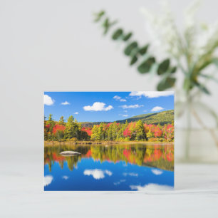Autumn in New Hampshire Postcard